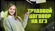 Задачи 16 и 22 по трудовому договору на ЕГЭ по обществу: разбор и примеры | Умскул