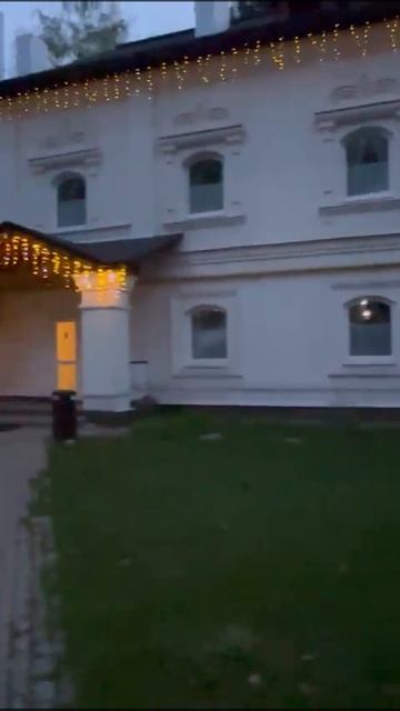гуси