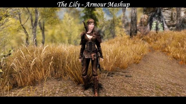 Skyrim SE - Armor Mods - Adventurers Mashup - Bless Armor - The Lily - Triss Armour Recolours