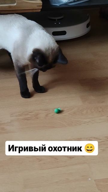 игривый охотник