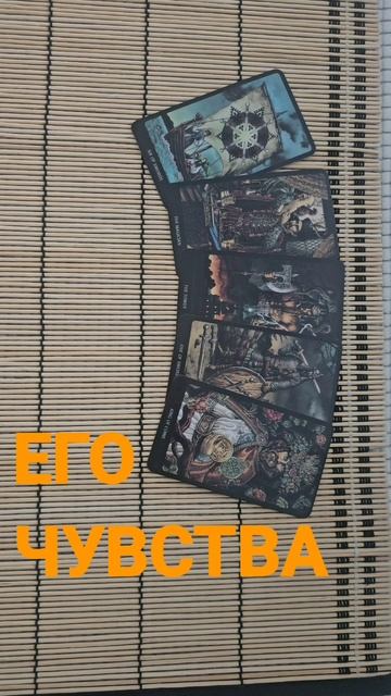 ЕГО ЧУВСТВА