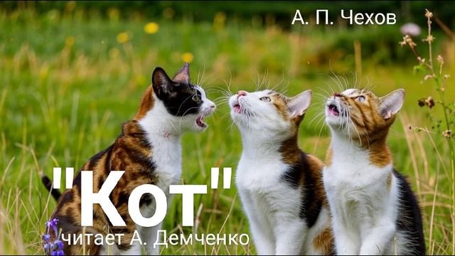 Чехов А. П. "Кот". Рассказ. Аудиокнига