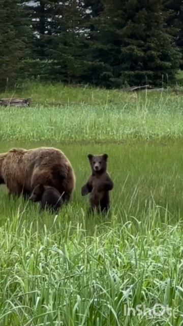 Уходим в лес.. Кто с нами..