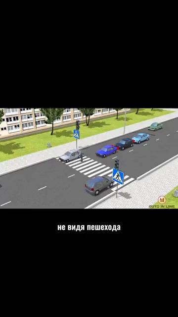 Дай пешеходу закончить это #автошкола #automobile #пдд #автоинстрктор