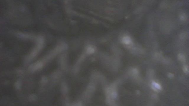 Катализатор изнутри 1