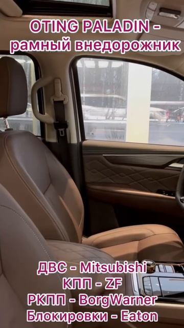 Отинг Паладин в Кирове