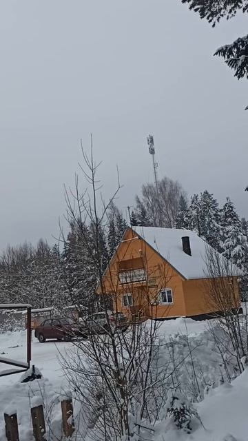 VID_20250209_115626.mp4