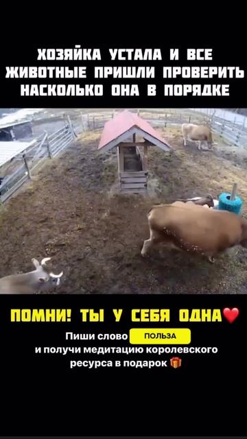 помни, ты у себя одна #спорт #рецепт #зож #похудение #шортс #нутрициолог #стресс #потерявеса