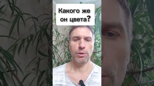 20250304 Человек с бочкой красителя. Рамакришна: Притчи и истории.