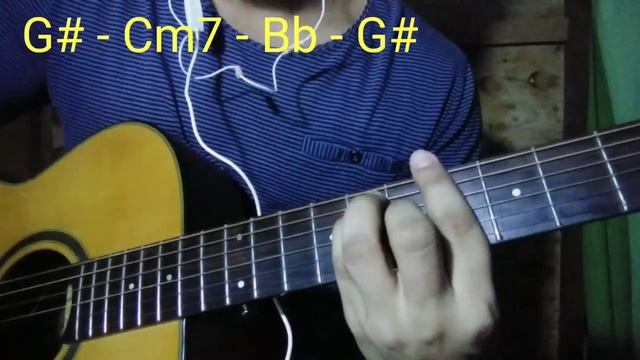 Cardigan - Taylor Swift (Guitar Chords) tutorial