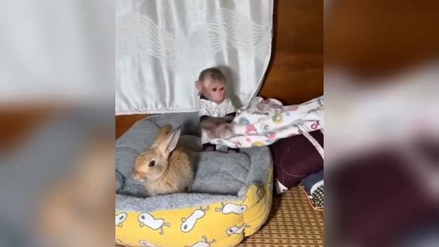 не спать