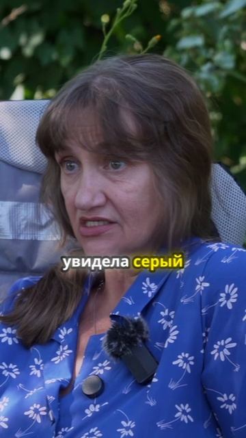 Цвета на даче: как выбрать правильный?