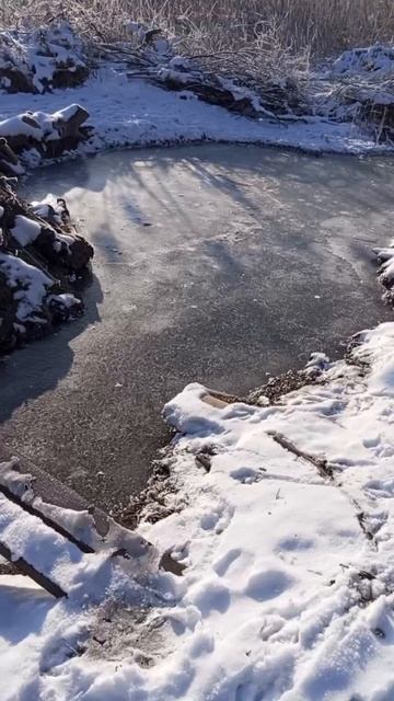 Наш небольшой водоем замерз 🥶