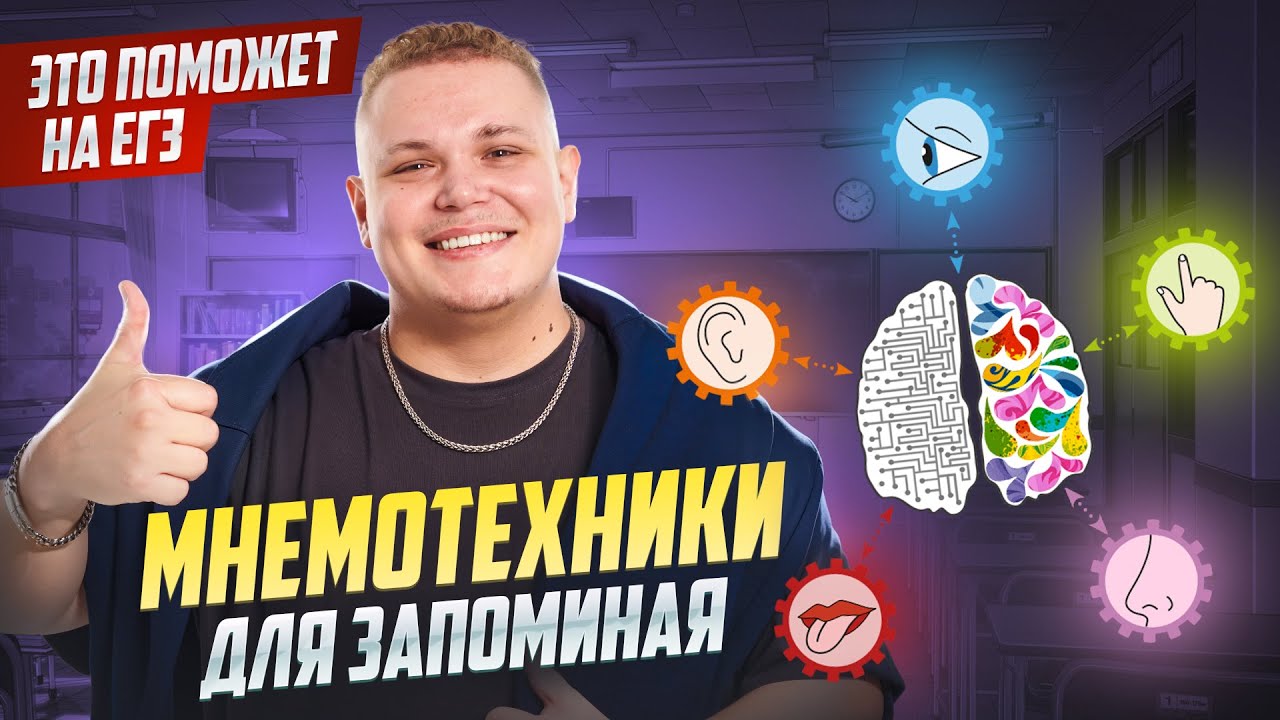Мнемотехники для ЕГЭ по обществознанию: как запоминать быстрее | Умскул