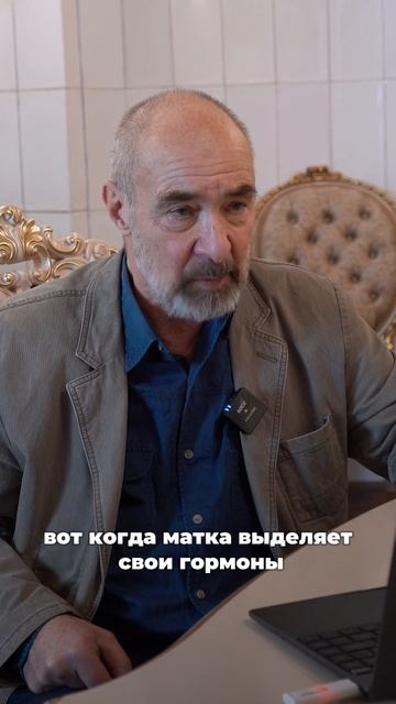 Пчёлы — это социальные существа? Или всё-таки одиночки?