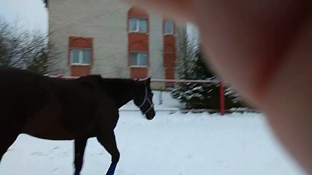 VID_20171220_145915