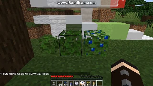 More Berries 19w11b 1.14 Snapshot Fabric Mod Overview
