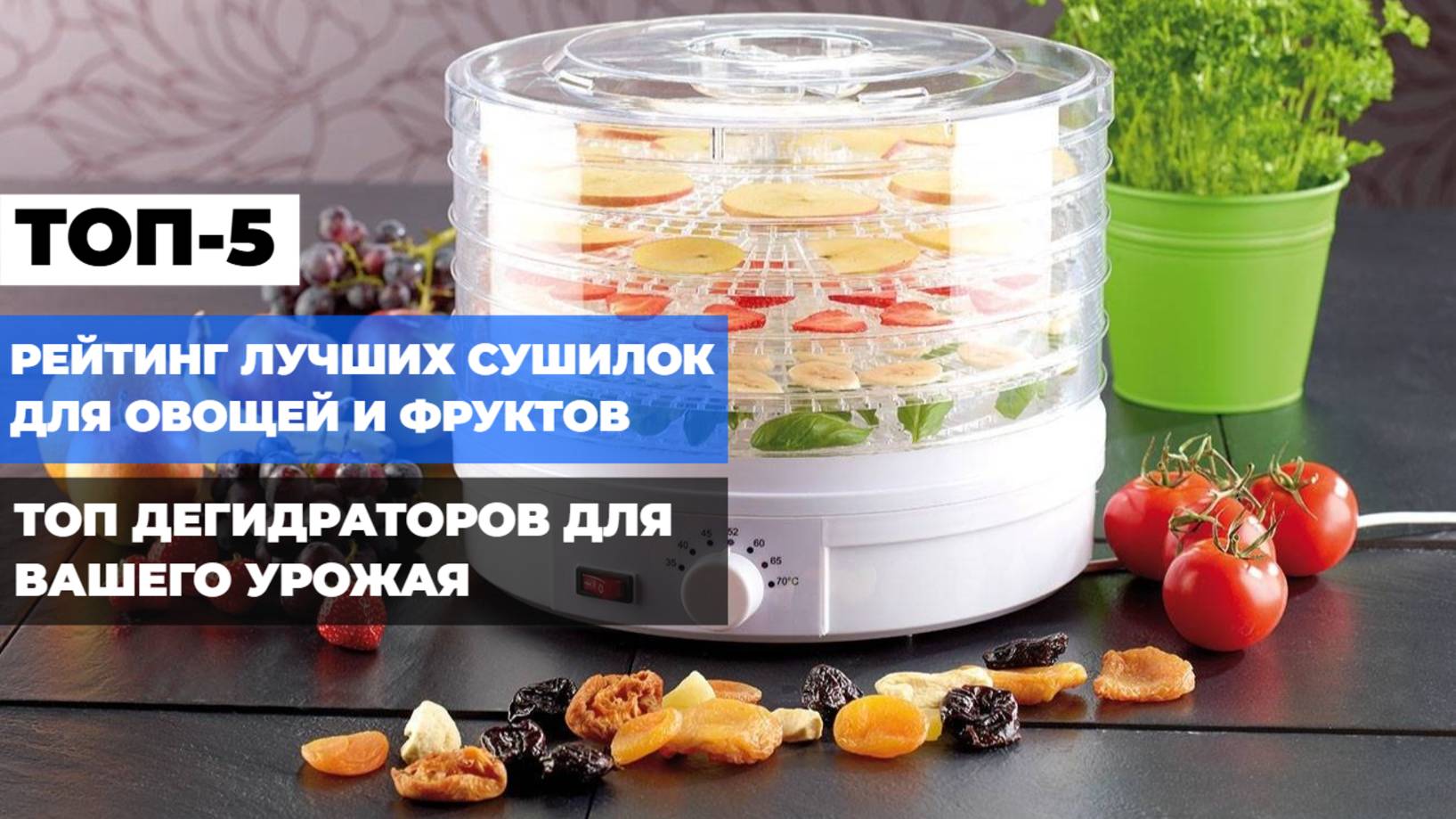 ТОП-5 сушилок для овощей и фруктов: лучшие дегидраторы для заготовок дома 🥦✨