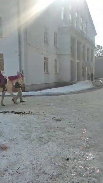 Россия. Сибирь. Ангарск. Современник. МАСЛЕНИЦА. 02.03.2025г. (04.03.2025г.).