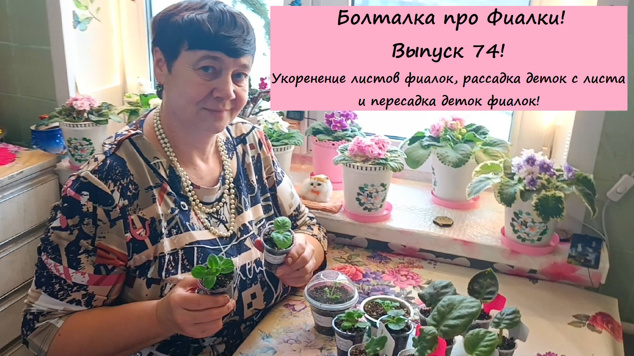 Болталка про Фиалки! Выпуск 74! Укоренение листов фиалок, рассадка деток с листа и пересадка деток!