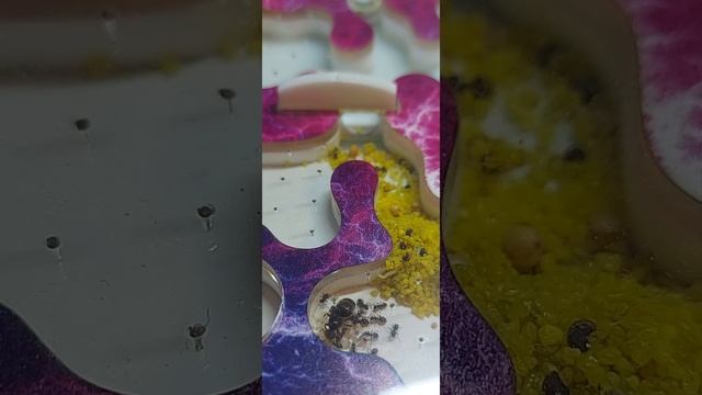 1000021116.mp4