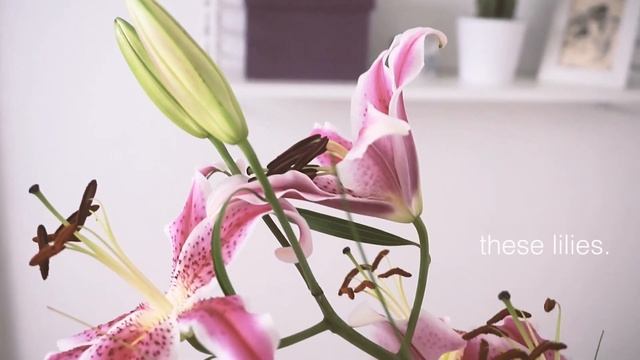 FEBRUARY LOVE LIST | the new age