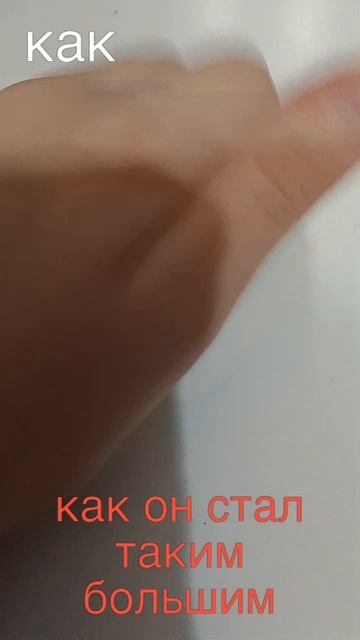 маленький и большой уже.7 звёздочек