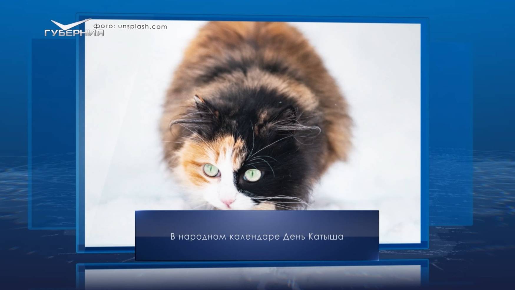 День Катыша. Календарь Губернии от 5 марта