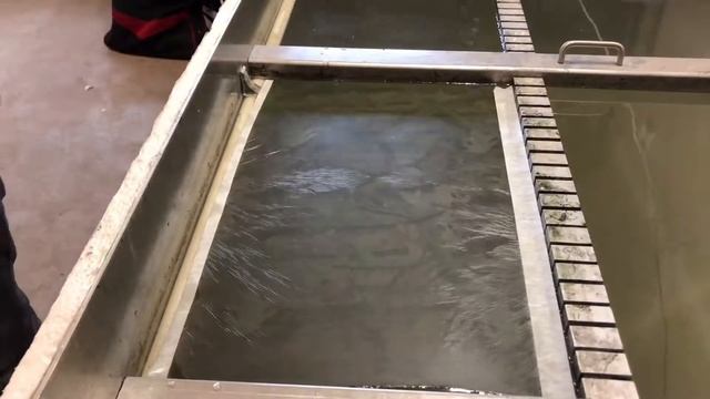 Hydrodipping a Hockey Helmet in Camouflage | Hydrographics | Hydro Dip