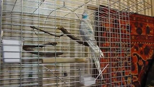 Учимся пользоваться ногами