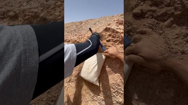 Exploring a trench dug by Khazaine Company in their 2 km² area in Sfariât, Mauritania.