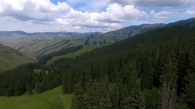 KsiltarNewStart: все изменения и планы