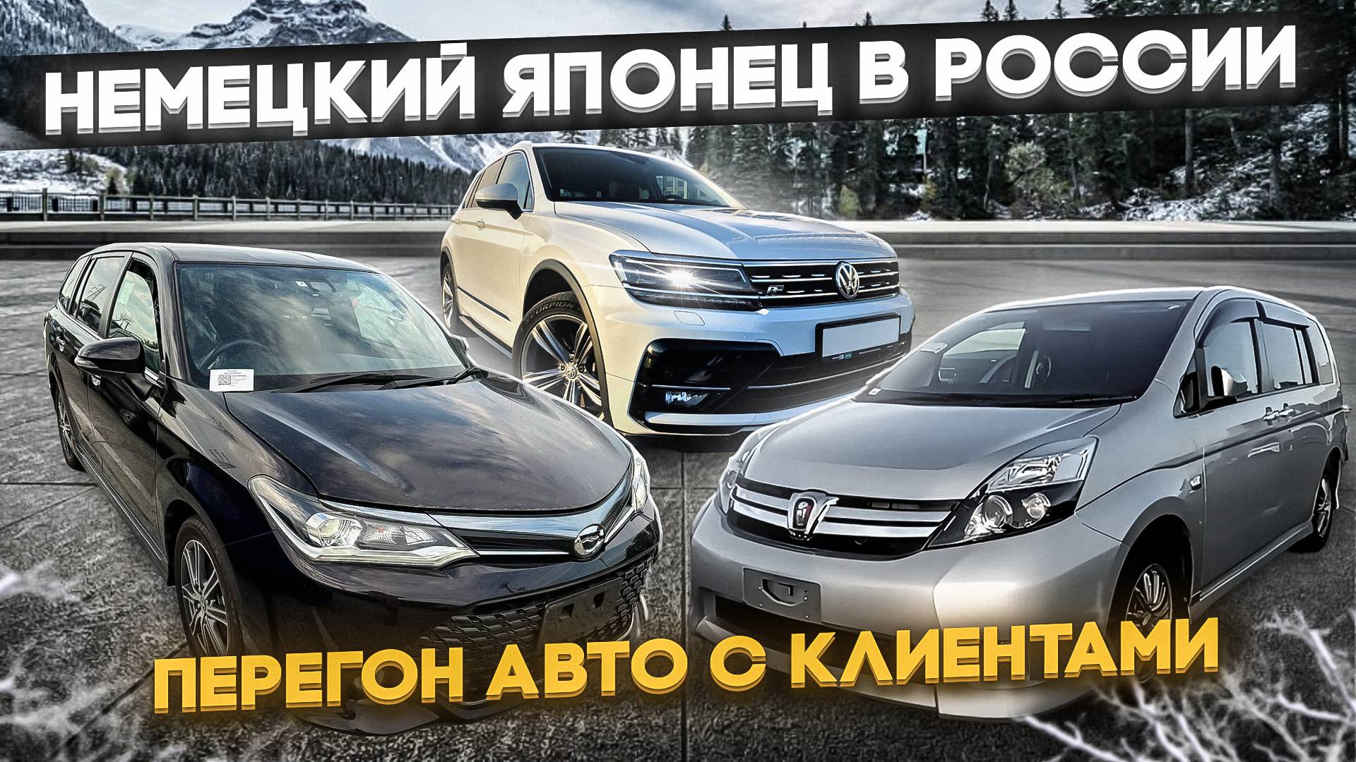 Перегон TIGUAN FIELDER ISIS