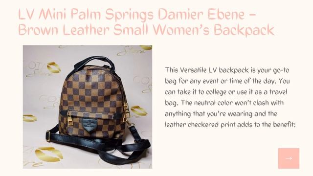 LV Mini Palm Springs Damier Ebene – Brown Leather Small Women’s Backpack