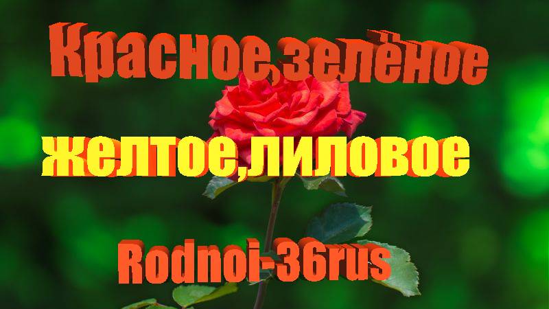 В.С.Высоцкий  "Красное, зелёное..."
