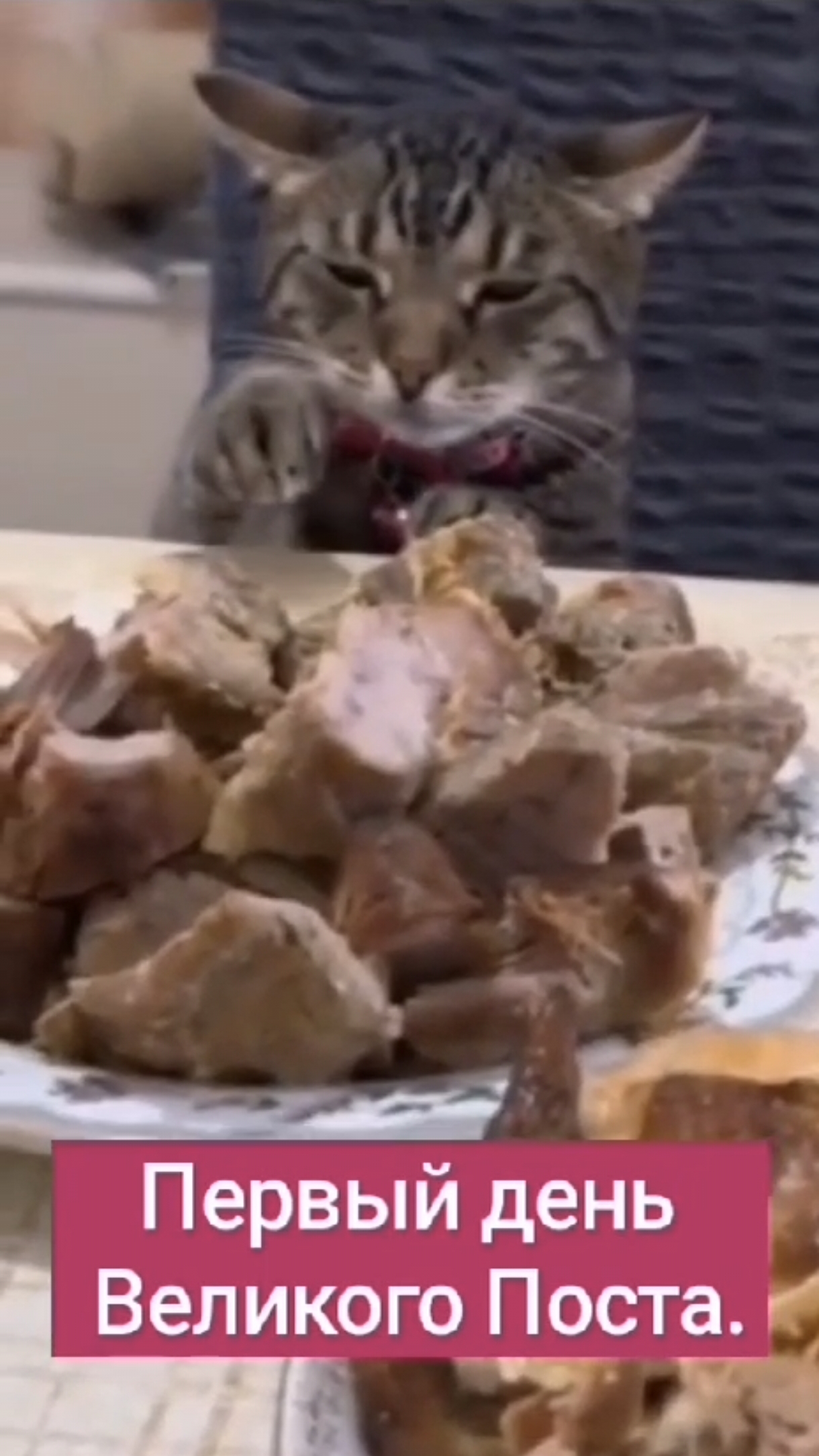 Первый день Великого Поста 😺
