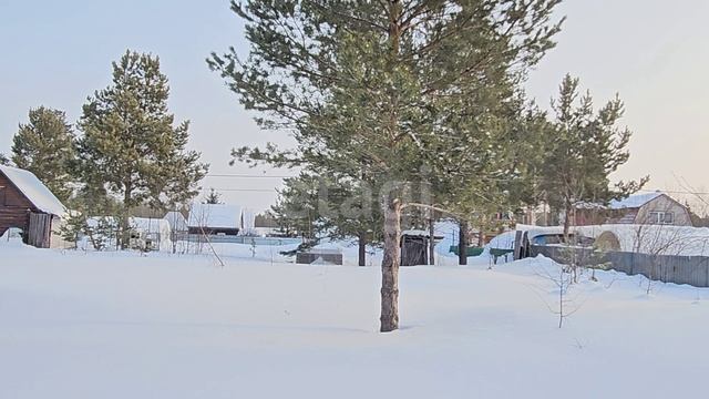 4438019 Автомобилист