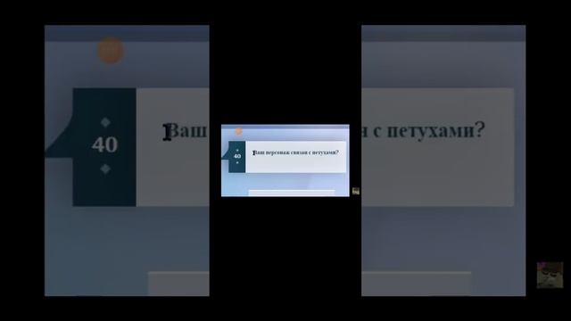 5 ноября 2023 г.