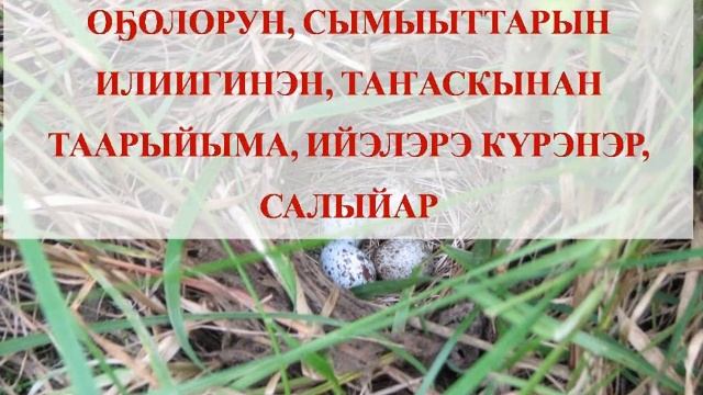 Айылҕаны харыстыыр үгэстэр