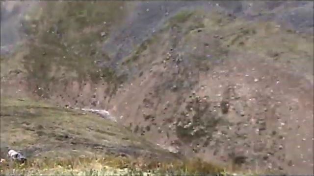 Hunting Dall Sheep, Caribou, Moose with Arctic Red River Outfitters, NWT, Canada #3