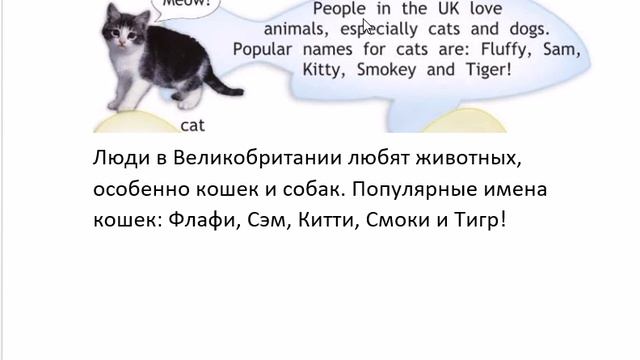 SPOTLIGHT 2 учебник страница 74