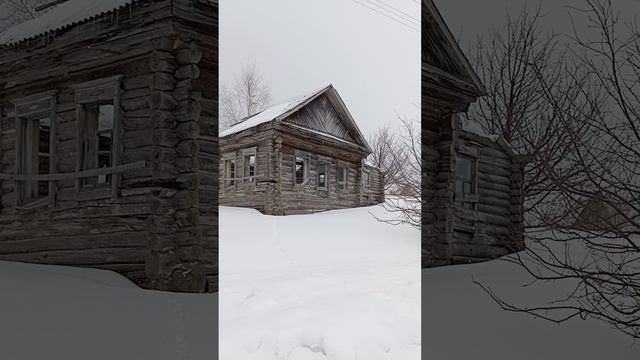 Редкая Берëза. Март-2025