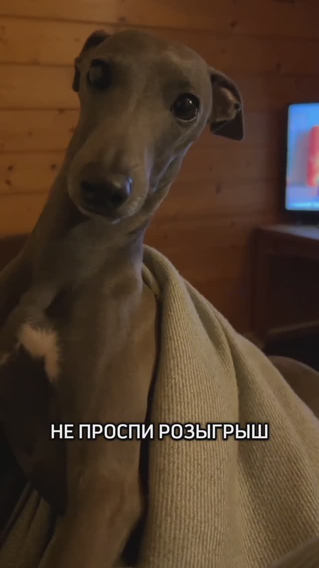 Фортуна- дама капризная...