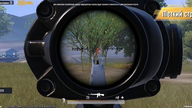 SVID_20250304_093606_1.mp4