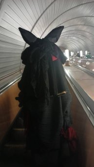 ... вот к чему приводят дурные мысли и недостаток сна!