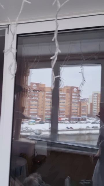 Орхидеи в открытой системе