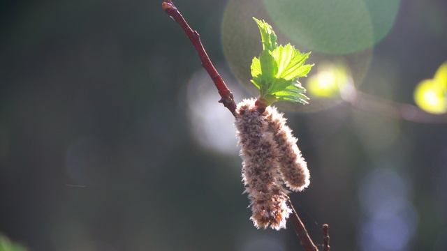 Зеленоград. Фотографии Владимир Артёмов.