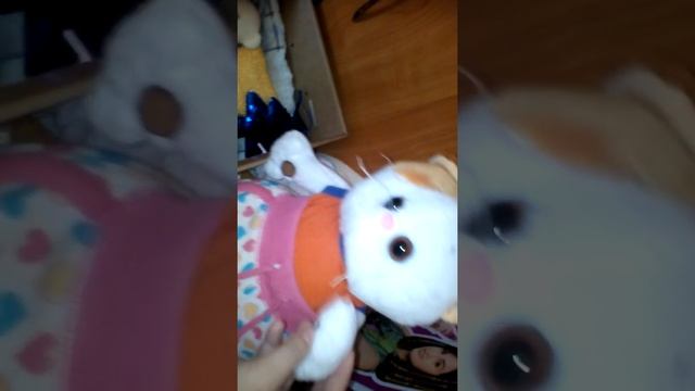 Что нужно для басика или лили а вашем доме