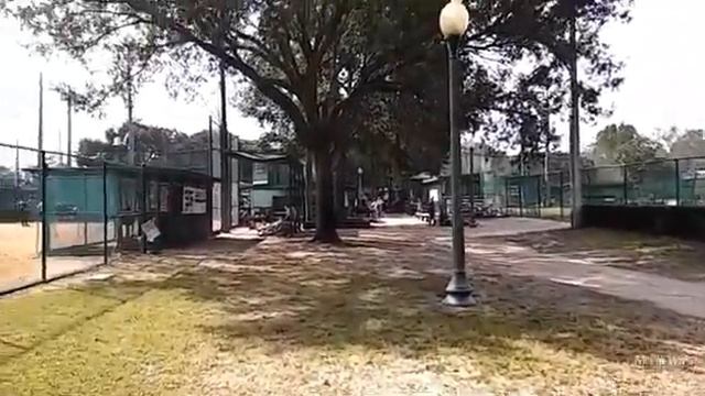 Бейсбол в США в Winter Park