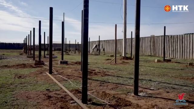 Игорь Касаев благодаря льготному займу смог укрепить племенное поголовье